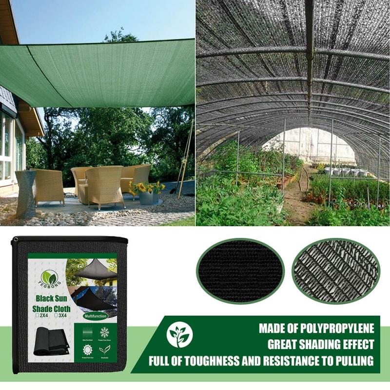 Looking to Buy a Canopy for Softball in 2023. Discover Our Top Picks Here