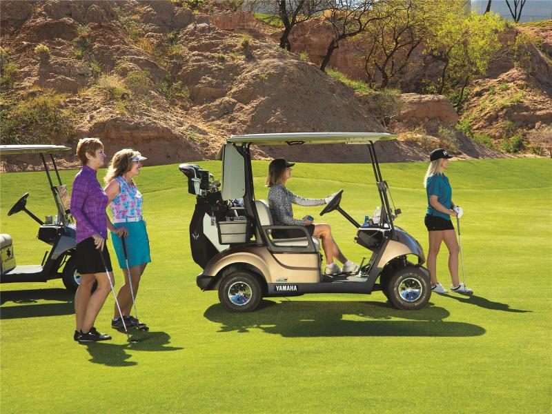 Looking to Buy a Manual Golf Cart This Year. 15 Key Factors to Consider Before You Buy