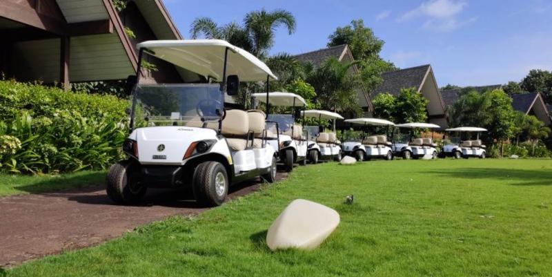 Looking to Buy a Manual Golf Cart This Year. 15 Key Factors to Consider Before You Buy