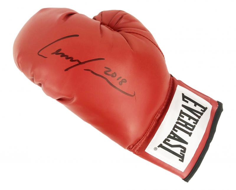 Looking to Buy Boxing Gloves. 15 Key Factors to Consider