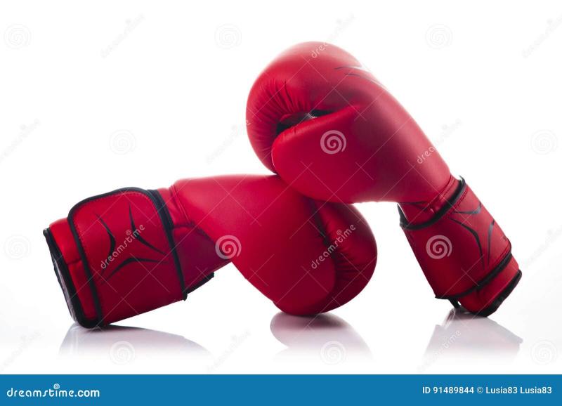 Looking to Buy Boxing Gloves. 15 Key Factors to Consider