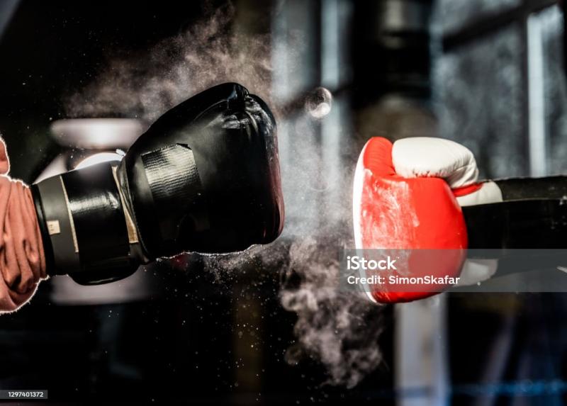 Looking to Buy Boxing Gloves. 15 Key Factors to Consider