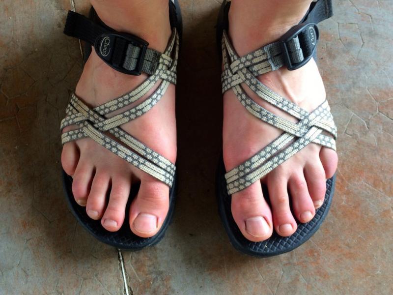 Looking to Buy Chaco Sandals. 15 Best Places to Find Them Near You