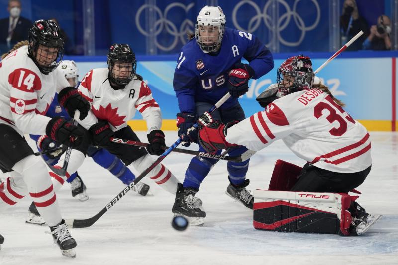 Looking to Buy Hockey Nets This Year. 15 Must-Know Tips Before You Decide
