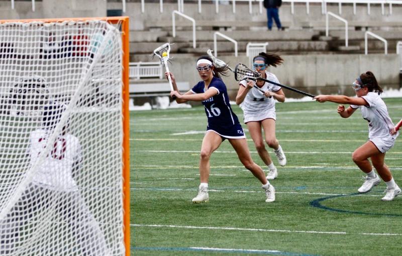Looking to Buy Lacrosse Nets & Backstops in 2023: A 15-Point Guide for Ideal Purchases