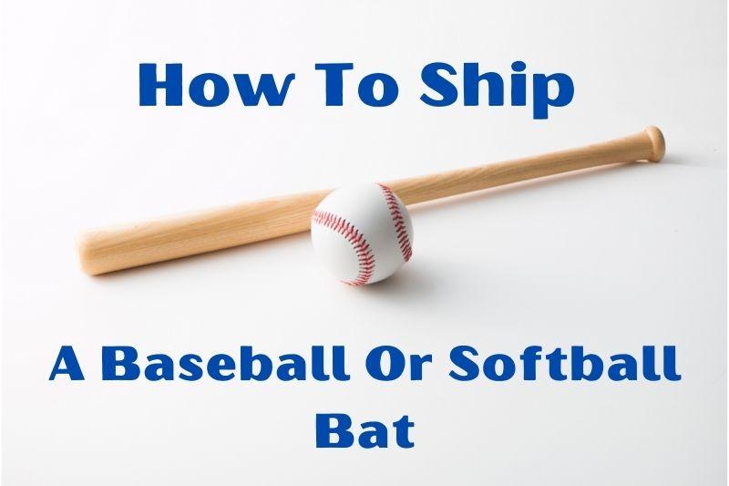 Looking to Buy Maple Baseball Bats This Year. Consider These 15 Key Factors First