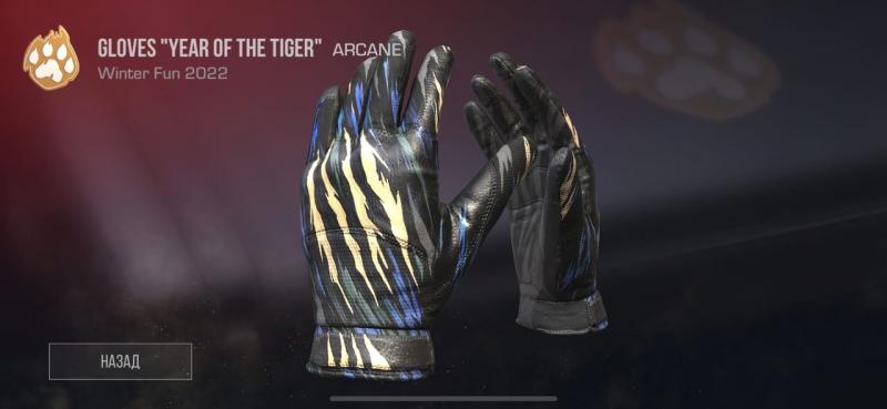 Looking to Buy Maverik Charger Lacrosse Gloves This Year. 15 Must-Know Tips Before You Decide