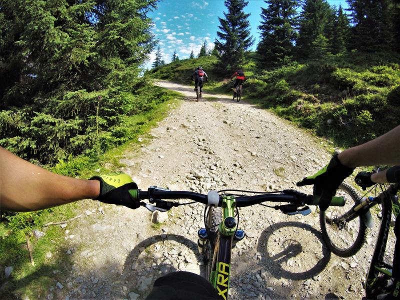 Looking to Buy New Bike Tires Nearby. Here Are 15 Tips to Find Quality Yet Affordable Options