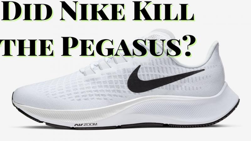 Looking to Buy Nike Pegasus. 15 Key Things to Know Before Buying