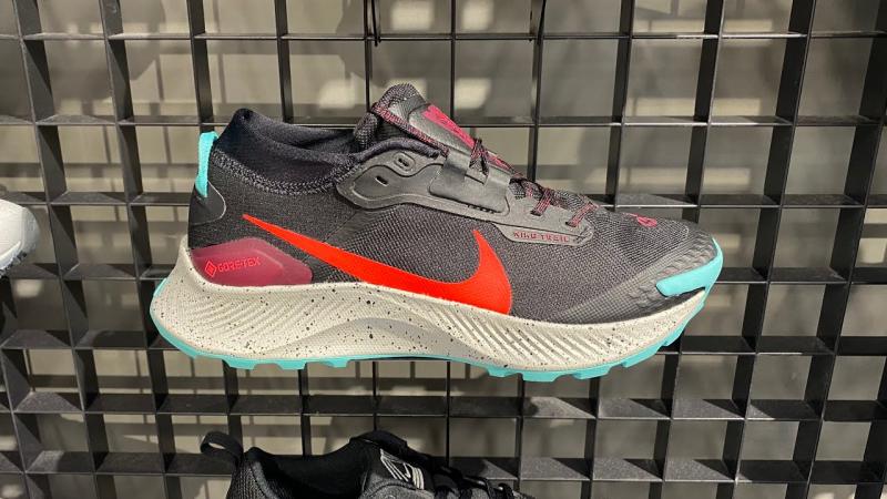 Looking to Buy Nike Pegasus. 15 Key Things to Know Before Buying