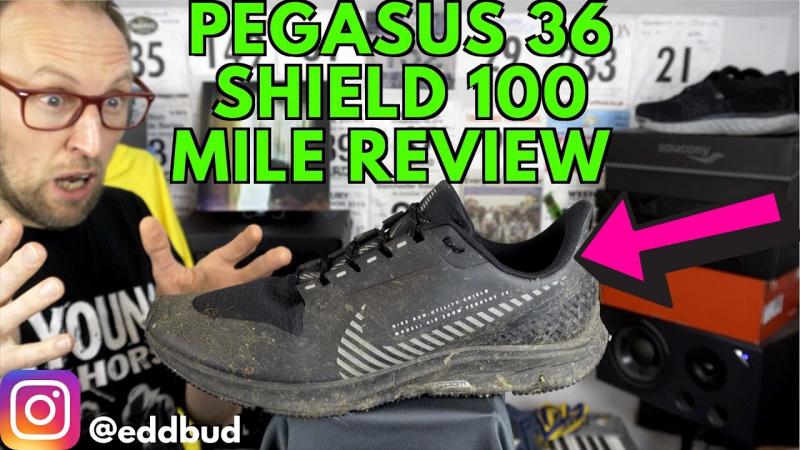 Looking to Buy Nike Pegasus. 15 Key Things to Know Before Buying