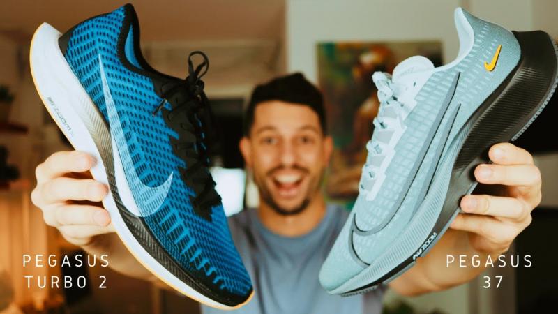 Looking to Buy Nike Pegasus. 15 Key Things to Know Before Buying