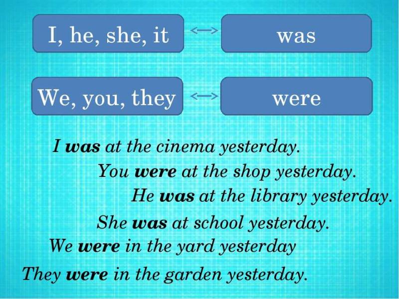 Looking to Buy Pickleball Gear This Year. 15 Must-Know Tips Before You Shop