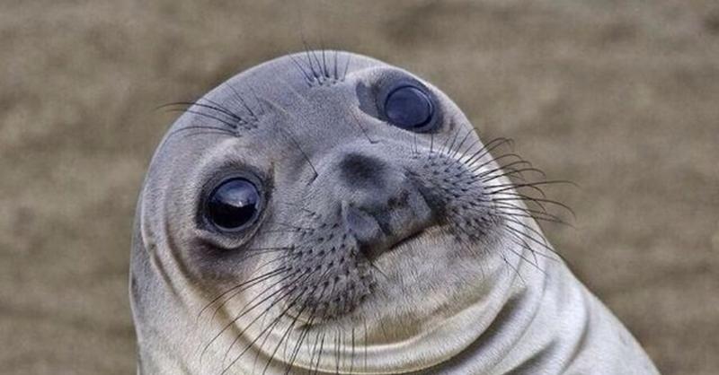 Looking to Buy Pinnies Near Me. 15 Must-Know Tips Before You Shop