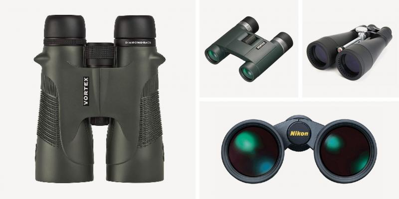 Looking to Buy the Best 12x50 Binoculars. Try These 15 Must-Know Tips