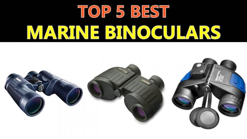 Looking to Buy the Best 12x50 Binoculars. Try These 15 Must-Know Tips