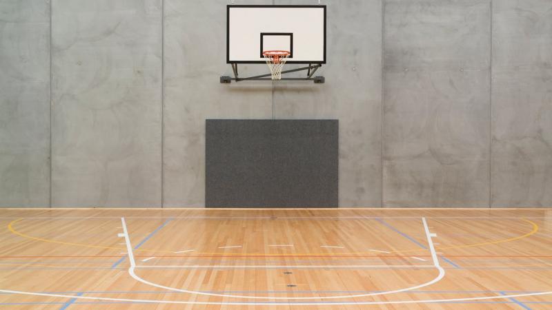 Looking to Buy The Best 28.5 Leather Indoor Basketball: 15 Key Considerations You Need to Know Before Purchasing