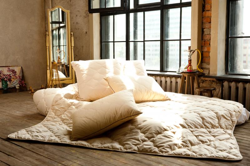 Looking to Buy The Best Blankets This Year. Check Out Our Top 15 Northeast Outfitters Blanket Picks