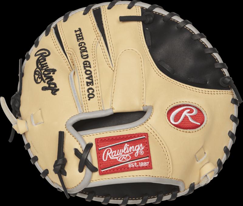 Looking to Buy The Best Fastpitch Softball Helmet This Year. Try An Easton Ghost