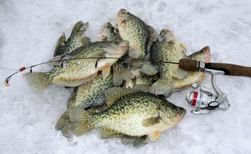 Looking to Buy The Best Ice Fishing Gear This Winter. Find The Top 13 Ice Rods Here