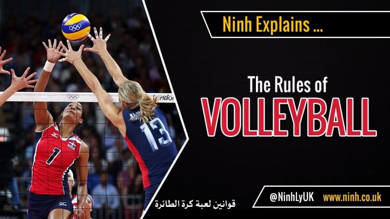 Looking to Buy The Best Indoor Volleyballs. Discover The Top Official Choices Here