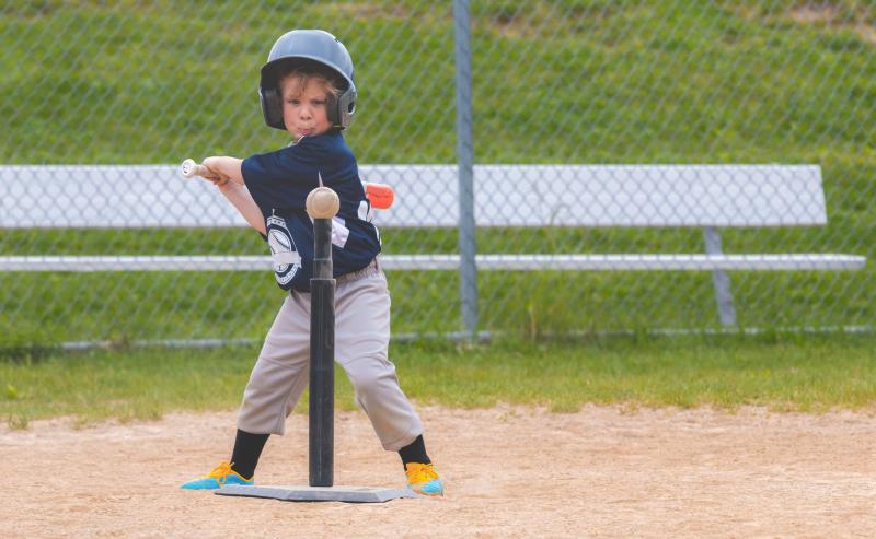 Looking to Buy The Best Tee Ball Bat for Your Child This Season