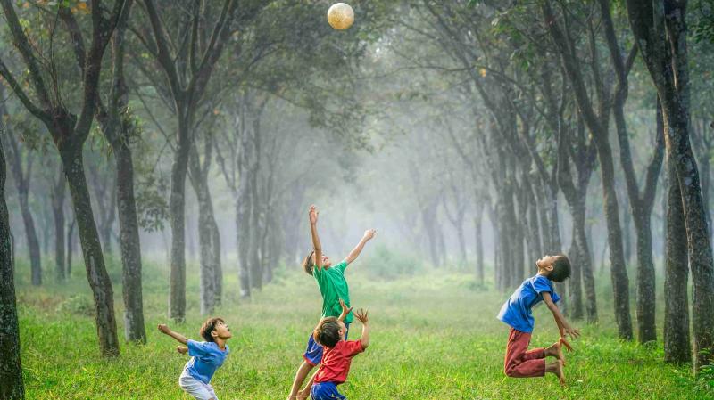 Looking to Buy The Best Tee Ball Bat for Your Kid This Season. Discover Our Top 15 Picks