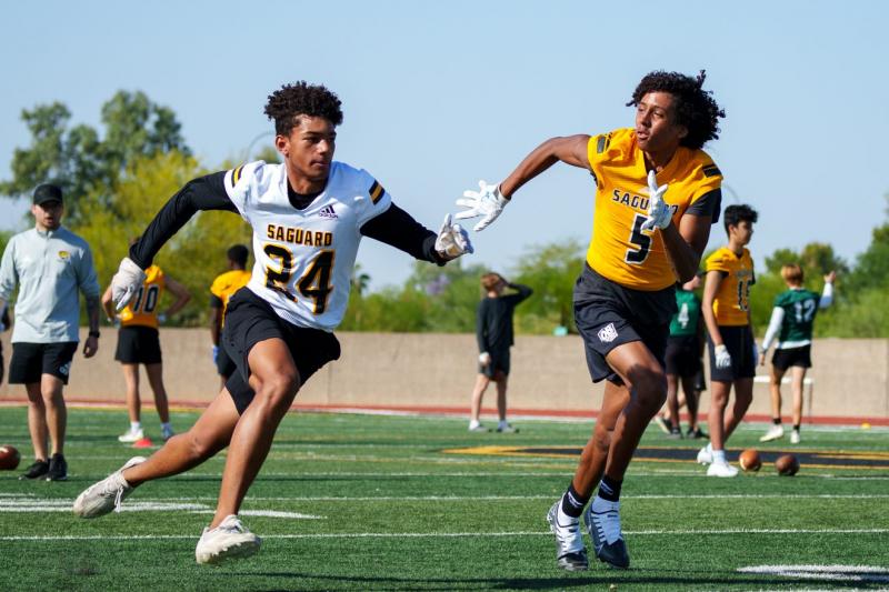 Looking to Buy The Best Wilson Football in 2023. Find Out Here
