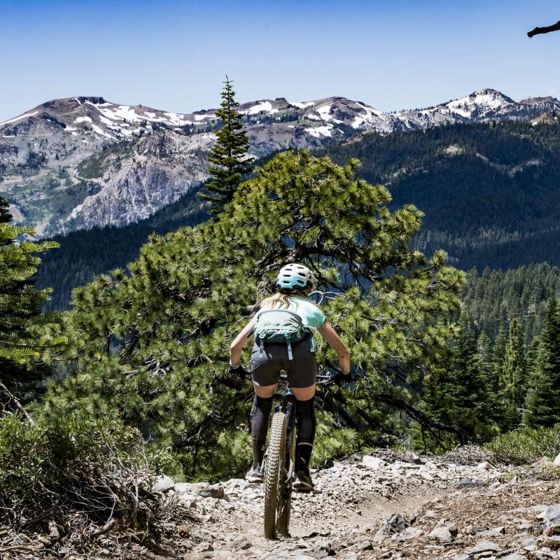 Looking to Buy The Perfect 27 Inch Mens Mountain Bike. Read This Guide Before You Decide