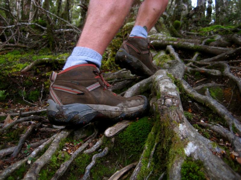 Looking to Buy the Perfect Hiking Shoes This Year. Try KEEN