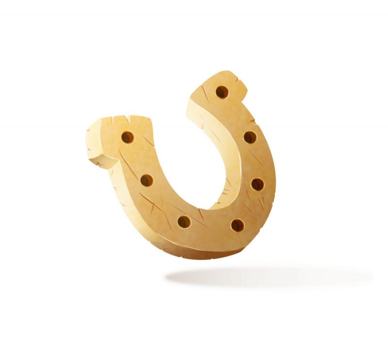 Looking to Buy The Perfect Horseshoe Set. Discover The 15 Must-Have Features Of The Ideal Horseshoe Kit
