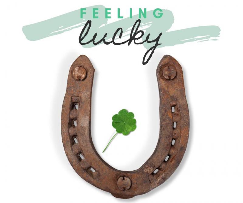 Looking to Buy The Perfect Horseshoe Set. Discover The 15 Must-Have Features Of The Ideal Horseshoe Kit