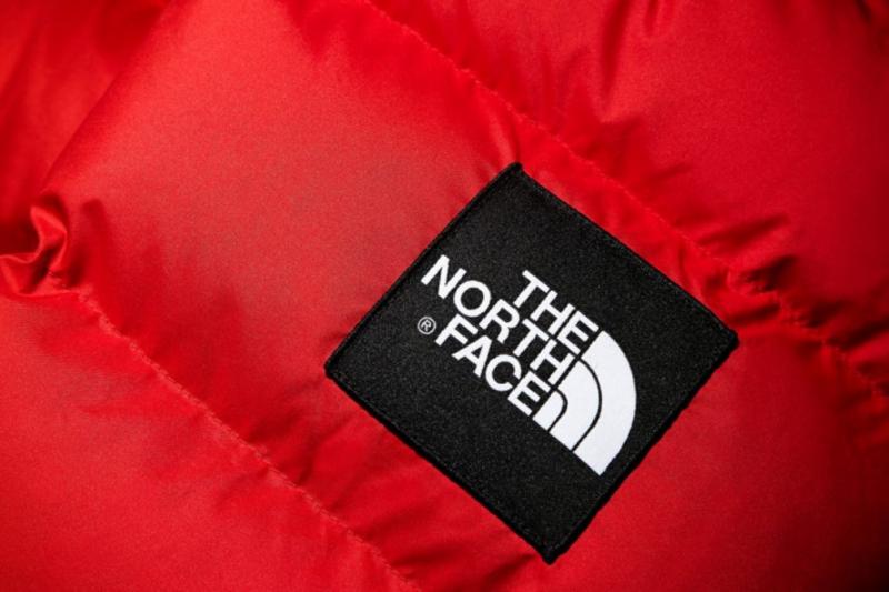 Looking to Buy The Perfect North Face Shirt for Women. Discover Our Top 15 Picks Here