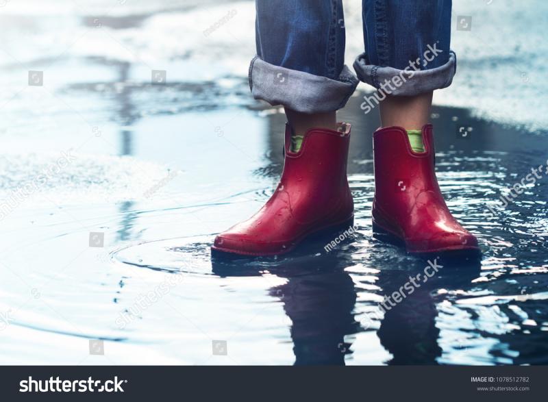 Looking To Buy The Perfect Pair Of Rubber Boots This Summer. Here