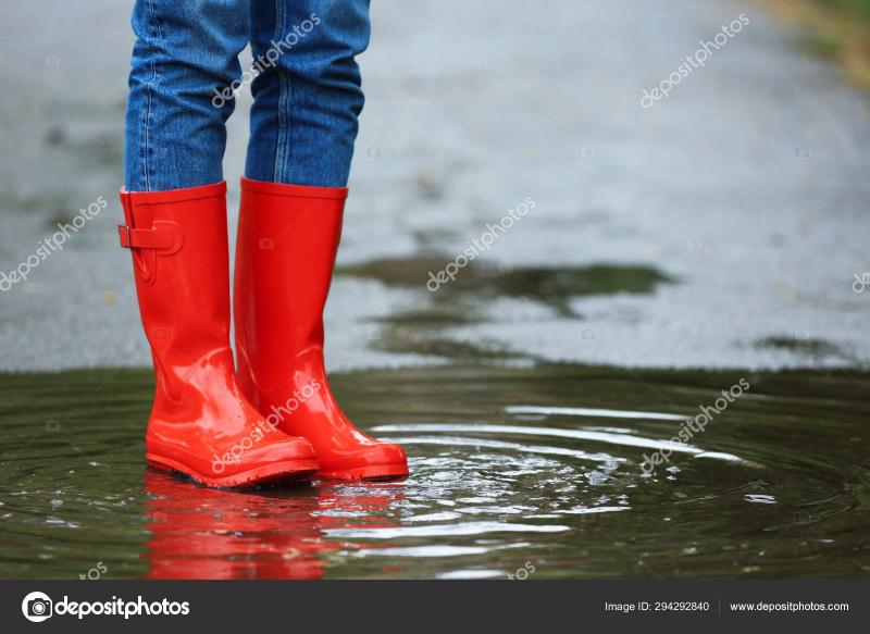 Looking To Buy The Perfect Pair Of Rubber Boots This Summer. Here