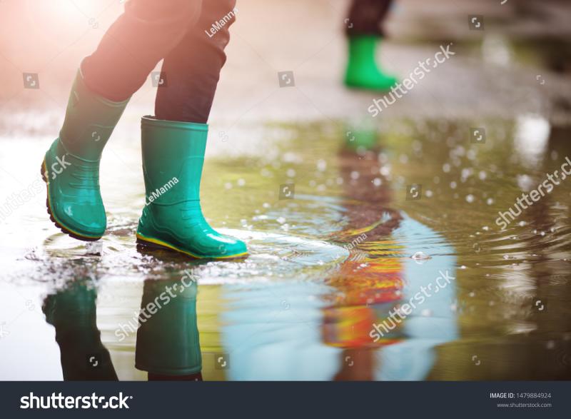 Looking To Buy The Perfect Pair Of Rubber Boots This Summer. Here