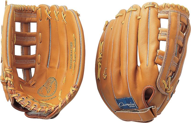 Looking to Buy The Perfect Size Catcher