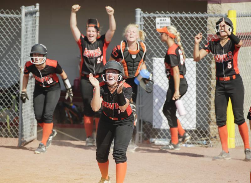Looking to Buy The Perfect Softball Bat This Season: Discover The Top-Rated Finch Models Loved By Players