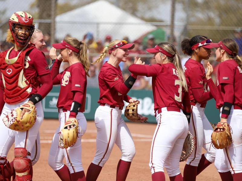 Looking to Buy The Perfect Softball Bat This Season: Discover The Top-Rated Finch Models Loved By Players