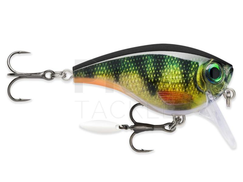 Looking to Buy The Right Giant Rapala Lure. Expert Tips For Getting The Best