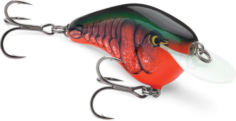 Looking to Buy The Right Giant Rapala Lure. Expert Tips For Getting The Best