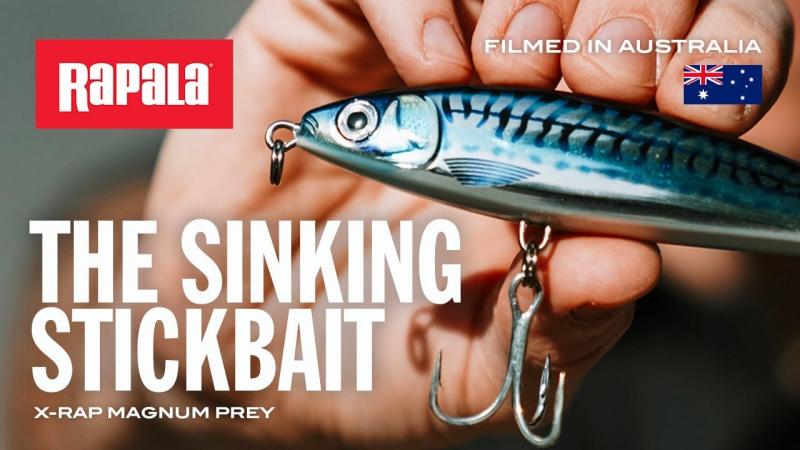 Looking to Buy The Right Giant Rapala Lure. Expert Tips For Getting The Best