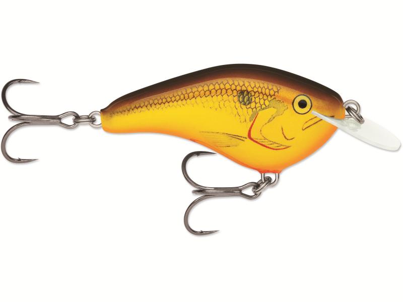 Looking to Buy The Right Giant Rapala Lure. Expert Tips For Getting The Best