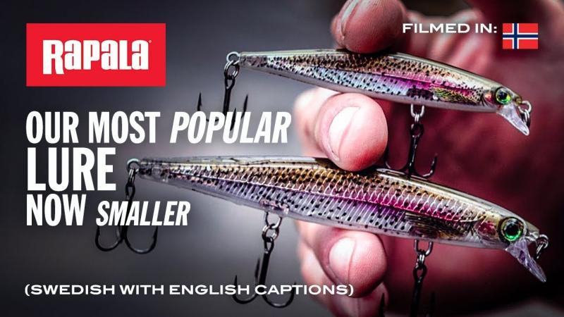 Looking to Buy The Right Giant Rapala Lure. Expert Tips For Getting The Best
