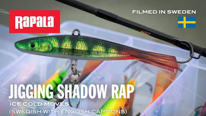 Looking to Buy The Right Giant Rapala Lure. Expert Tips For Getting The Best
