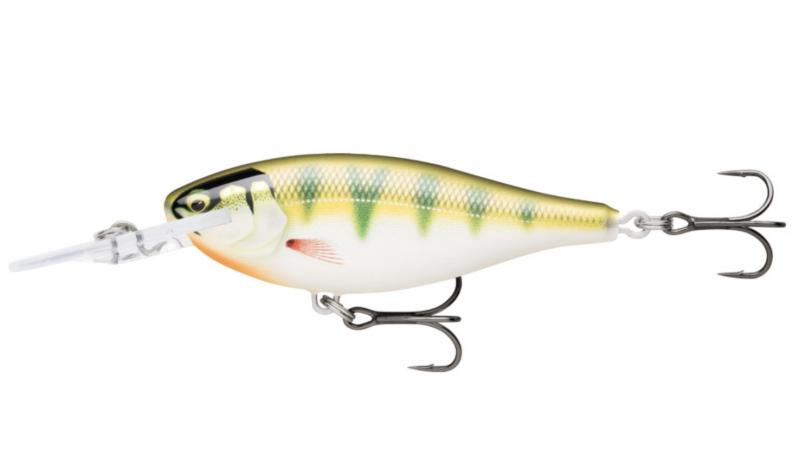 Looking to Buy The Right Giant Rapala Lure. Expert Tips For Getting The Best