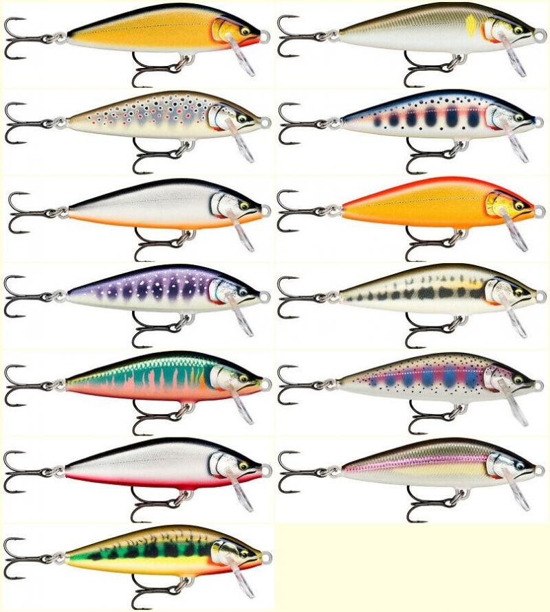Looking to Buy The Right Giant Rapala Lure. Expert Tips For Getting The Best