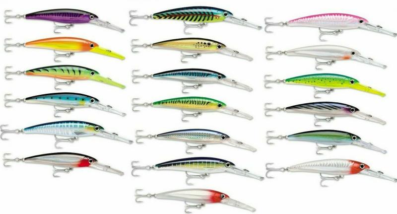 Looking to Buy The Right Giant Rapala Lure. Expert Tips For Getting The Best