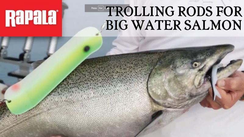 Looking to Buy The Right Giant Rapala Lure. Expert Tips For Getting The Best