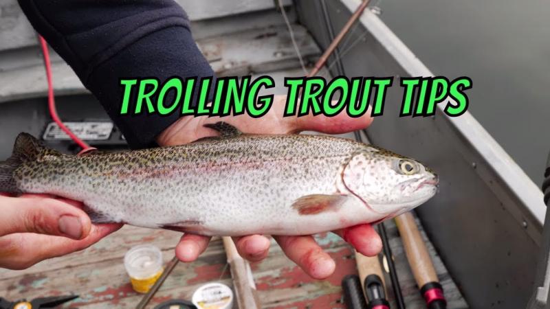 Looking to Buy The Right Giant Rapala Lure. Expert Tips For Getting The Best